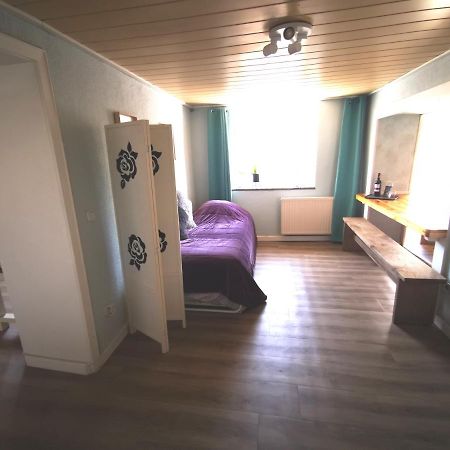 Mooi Ruim Appartement In Antieke Stadsboerderij Schonecken Экстерьер фото